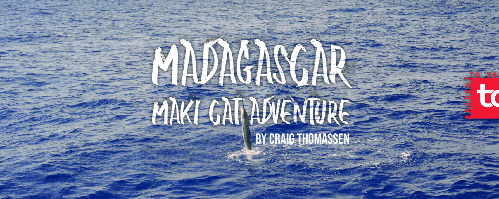 Madagascar Maki Cat adventure