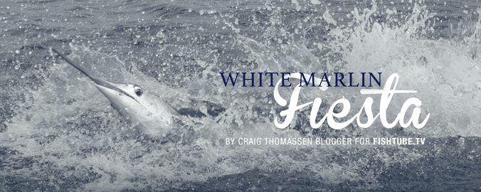 White Marlin Fiesta