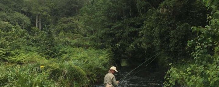Volcanic Trout