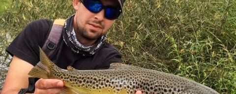 Big Brown Trout – Think outside the box.  