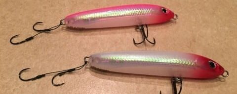 Grunter on Rapala Skitter-V