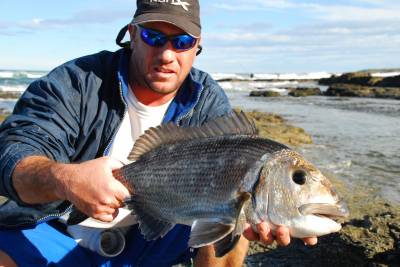 b2ap3_thumbnail_Musselcracker-are-common-along-the-shores-and-move-into-the-gullies-to-feed-on-an-incoming-tide.JPG