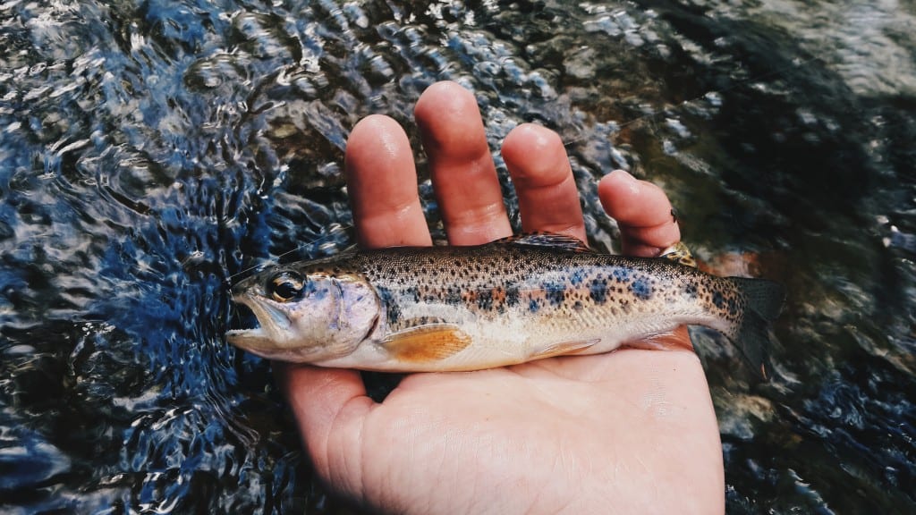 Processed with VSCO with hb2 presetProcessed with VSCO with hb2 presetProcessed with VSCO with hb1 p