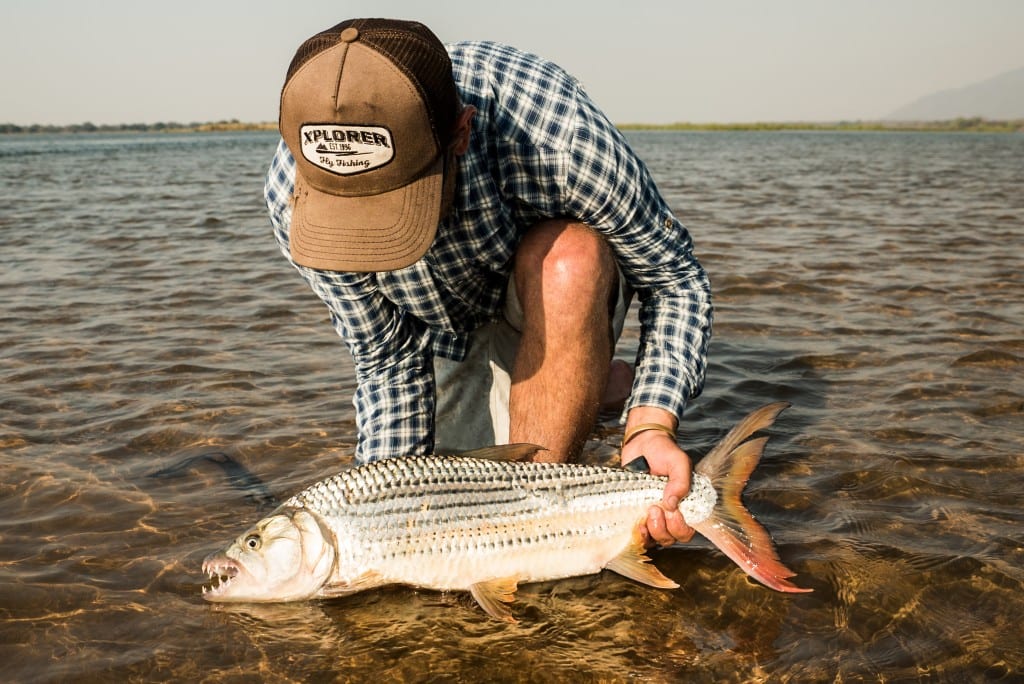 Back from a recent trip in the lower Zambezi. there were tough conditions but its always a pleasure 