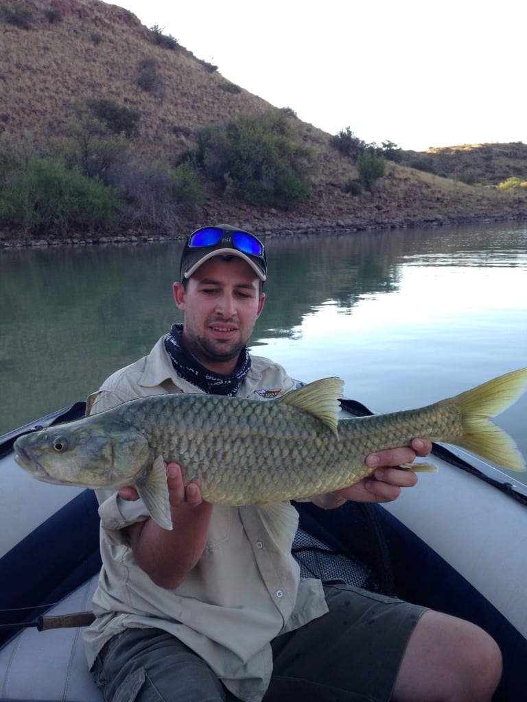 Vanderkloof producing the goods! IMG_1162