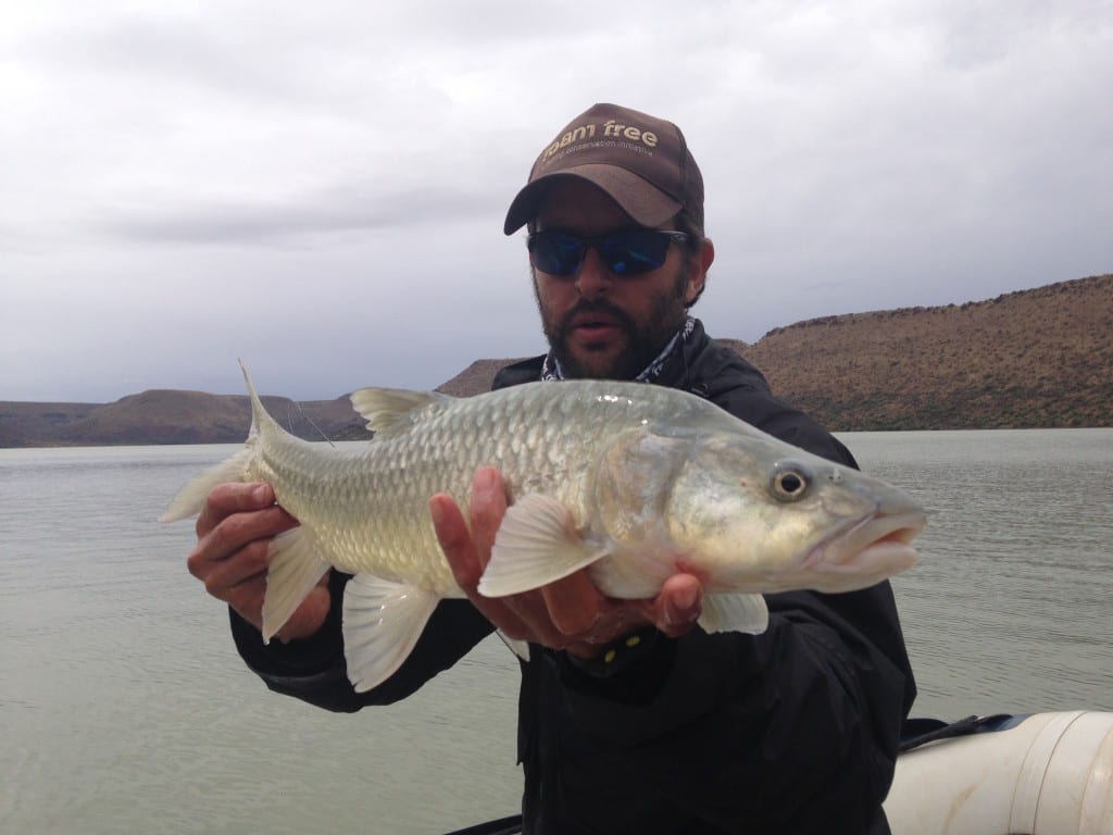 Vanderkloof treating us with some awesome fish! IMG_1168