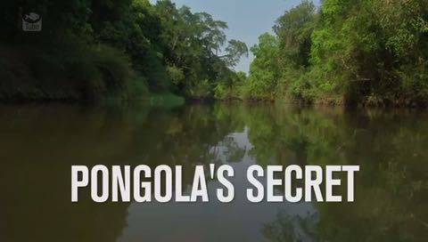 1549528329472.805 Pongolas Secret now out here n Fishtube TV