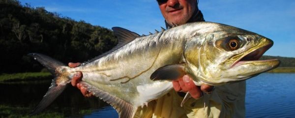 Blind River Kob and Garrick