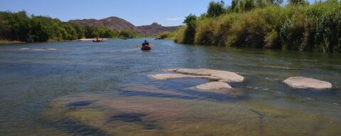 Orange River Yellows