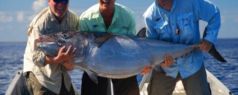 Some tips for targeting Dogtooth tuna