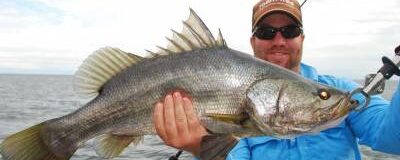 Nile Perch at Rubondo Island