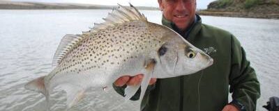 VMC Sport Circle hooks, awesome weapon for grunter!