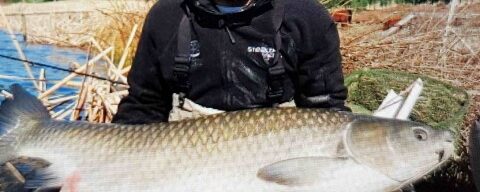 35LB Fish Caught in the TOPS Corporate Challenge