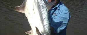 Shimano new rod models, they just keep getting better!
