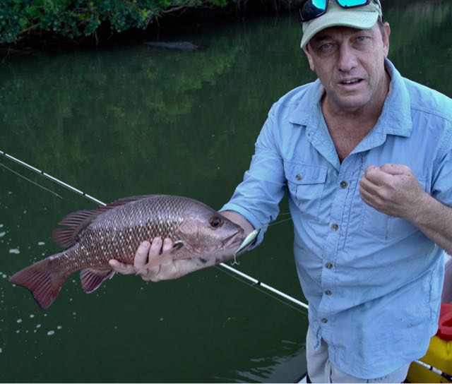 1552913592462.2031 Uploaded via Fishbook an angry Transkei river snapper