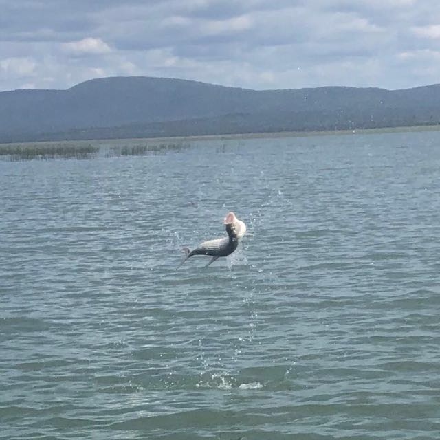1555175989909.157 #letitswimtft