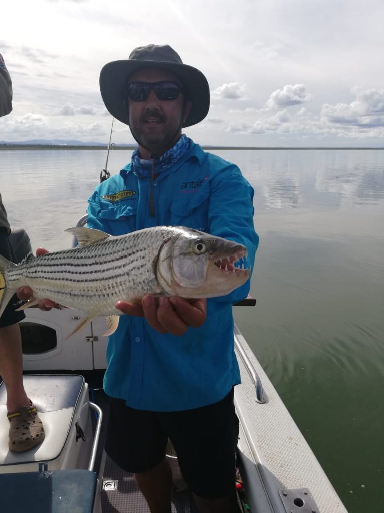 Jozini 2019 Tiger 505mm on live bait Cassie 505 pic