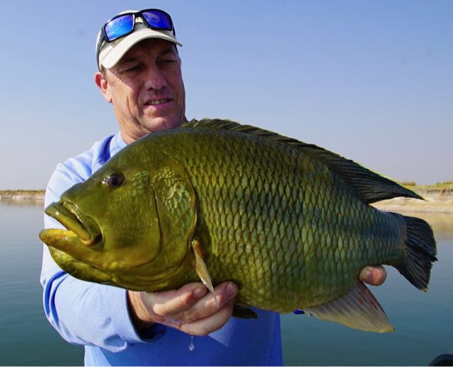 1559202648890.759 Uploaded via Fishbook