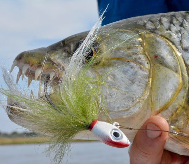 1560345412541.744 Tiger love bucktail