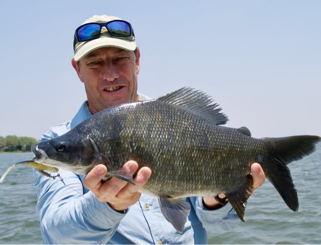 1560870855421.5342 My first Zambezi Nkupe on lure