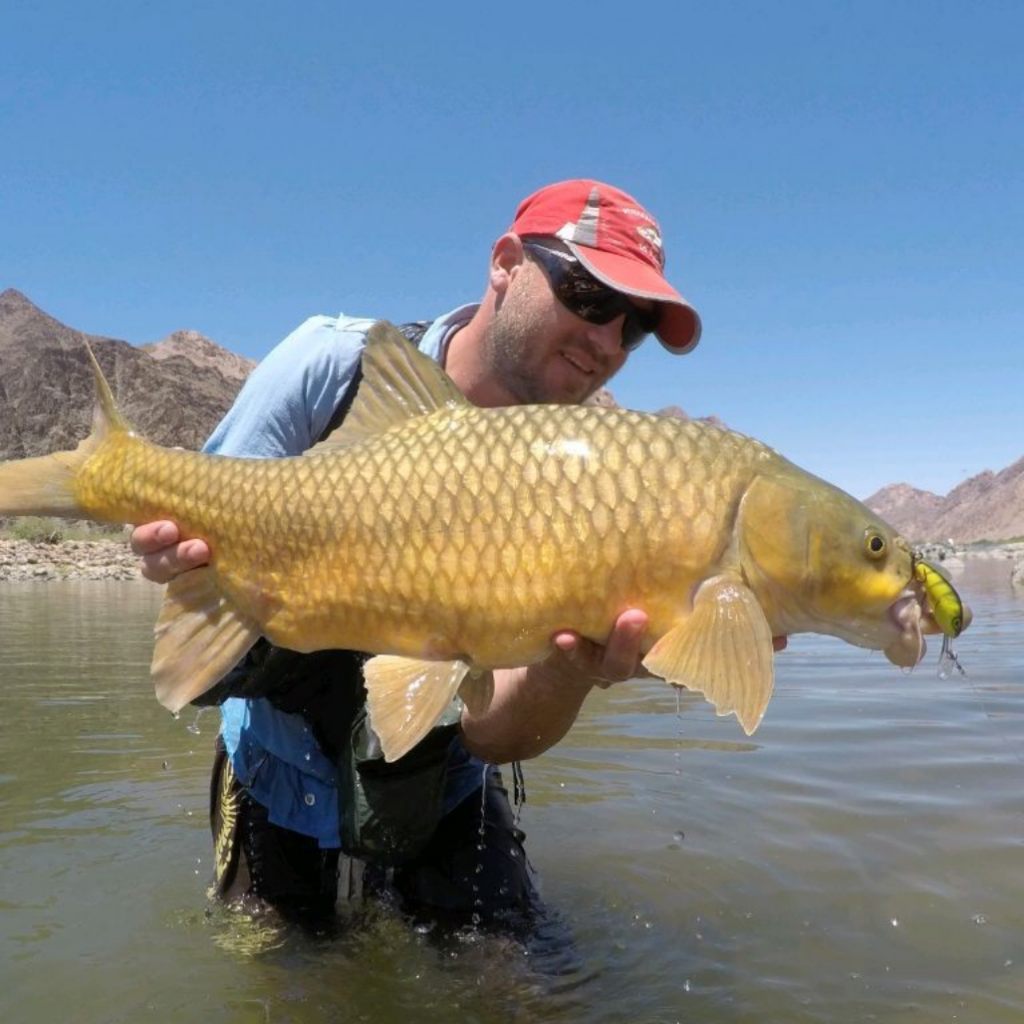 Uploaded via Fishbook