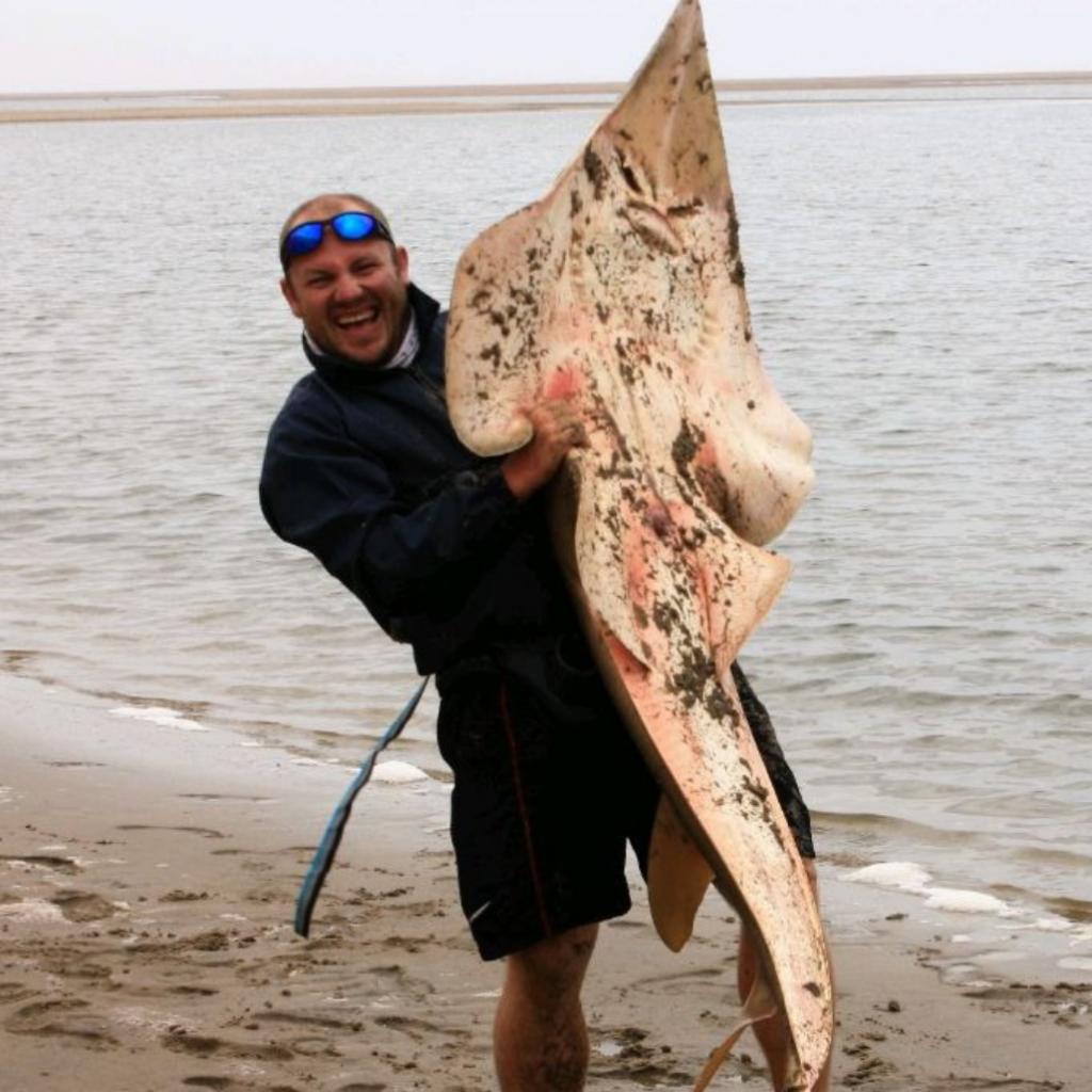 Giant guitarfish