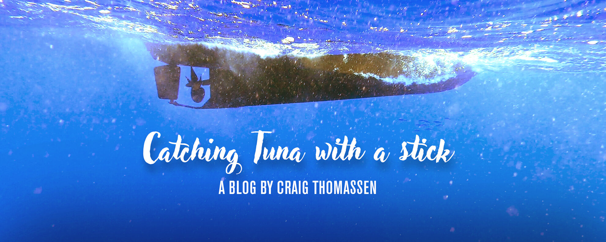 Catching tuna with a stick