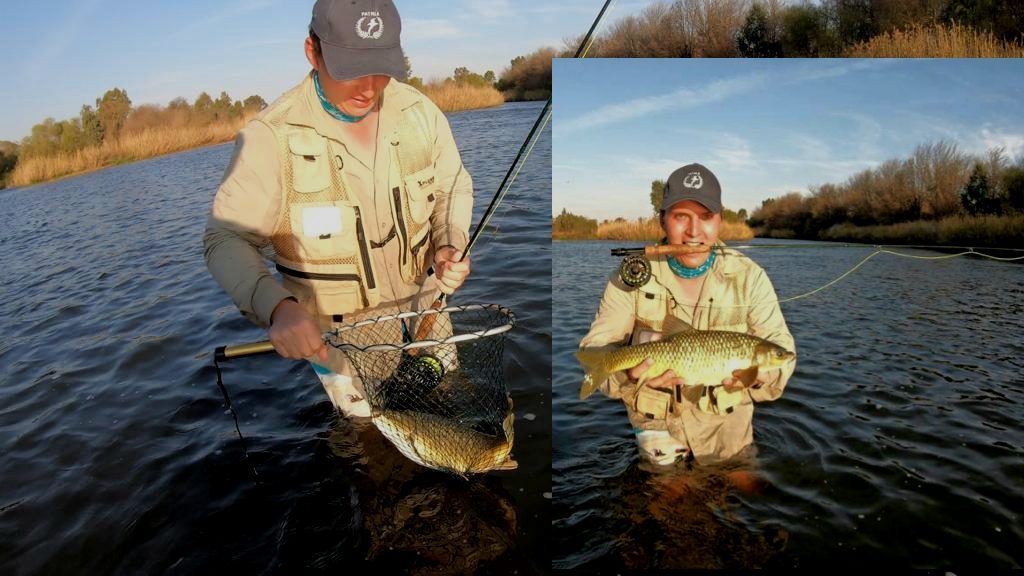 20190904_223441 Vaal River Yellow ○●○ 20190904_223441