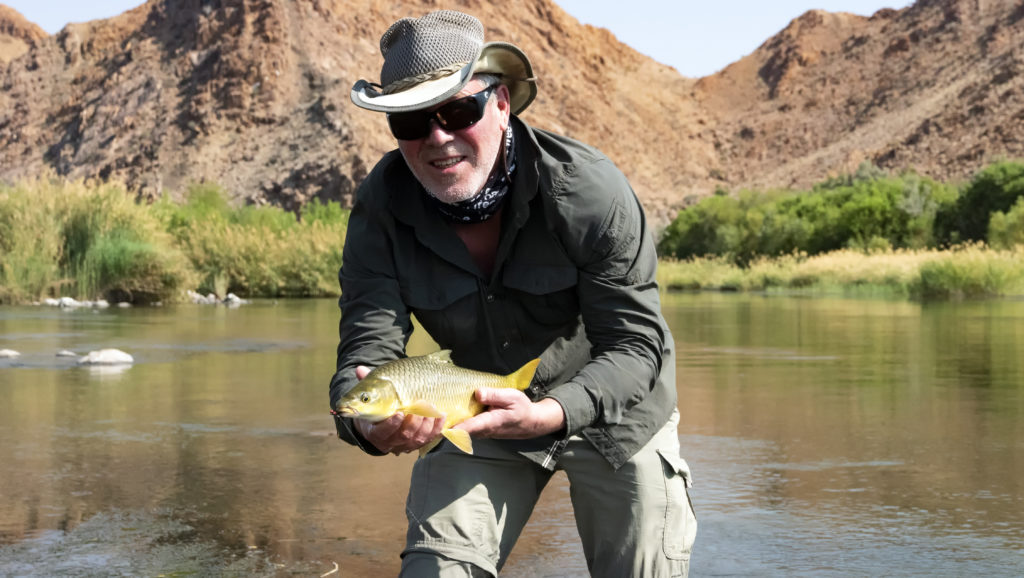 Brad Yellow Brad Yellow