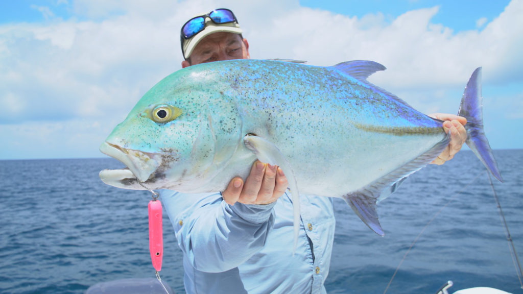 Tommo Bluefin Tommo Bluefin