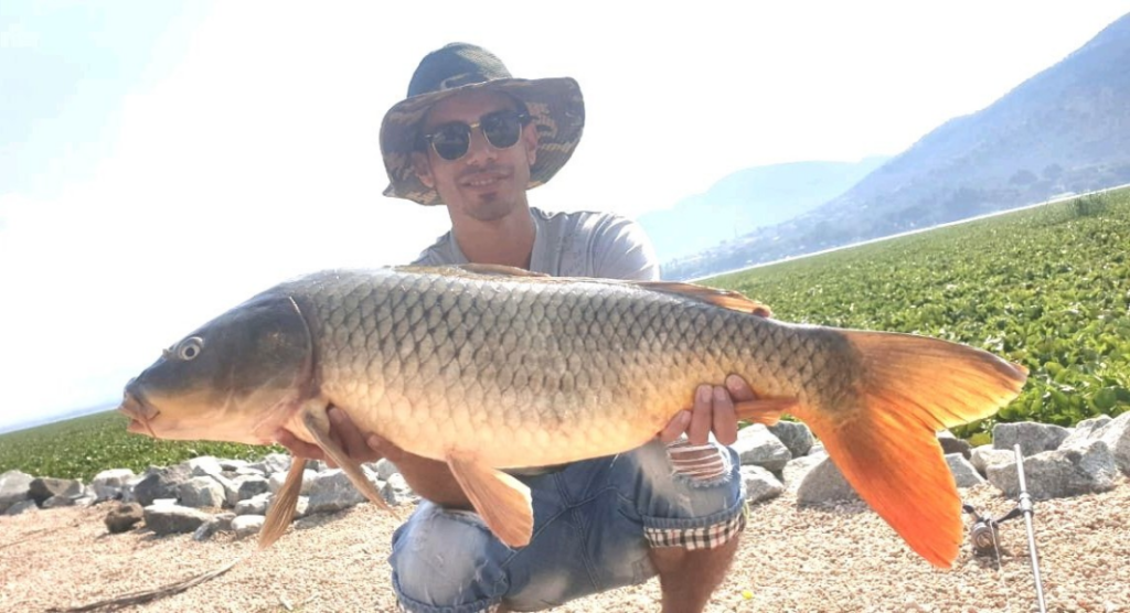 Uploaded via Fishbook