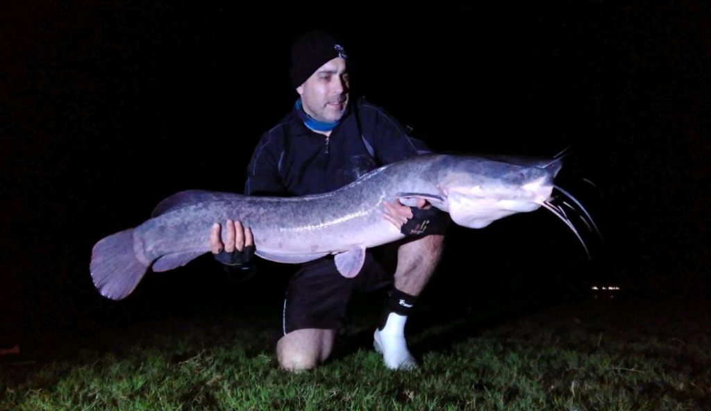 Night fishing for catfish on lure