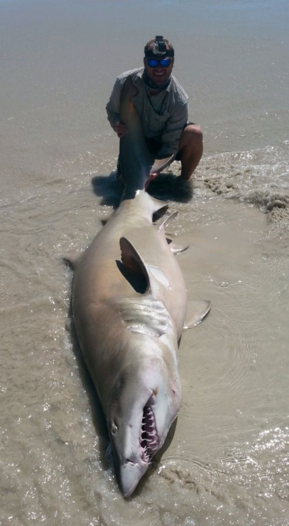 Uploaded via Fishbook