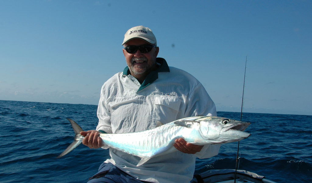 King Mackerel (3) King Mackerel (3)