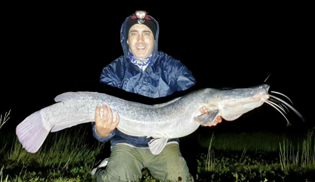 A Bloemhof Dam catfish on lure, caught the week before lockdown.