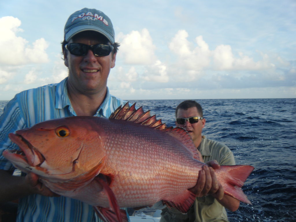 Bohar Snapper (12) Bohar Snapper (12)