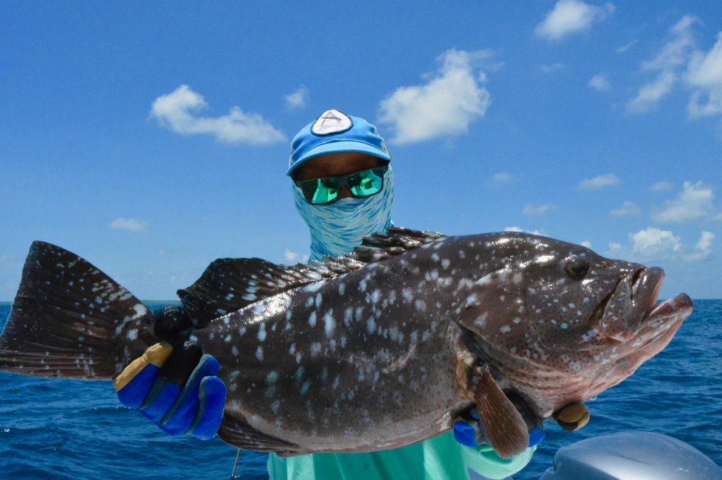 White spotted rockcod caught at St Josephs island, Seychelles DSC_0038