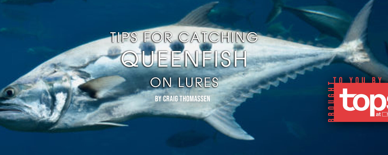 Tips for catching queenfish on lures