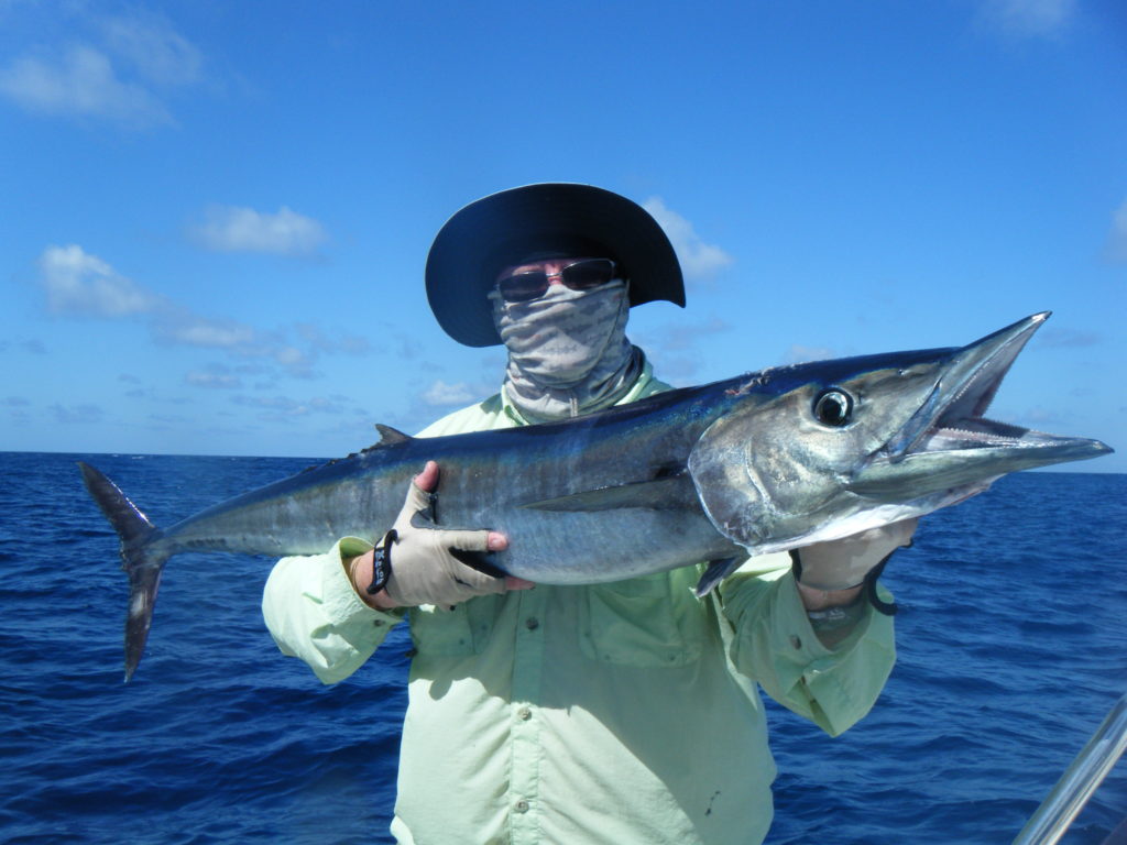 Wahoo (4)