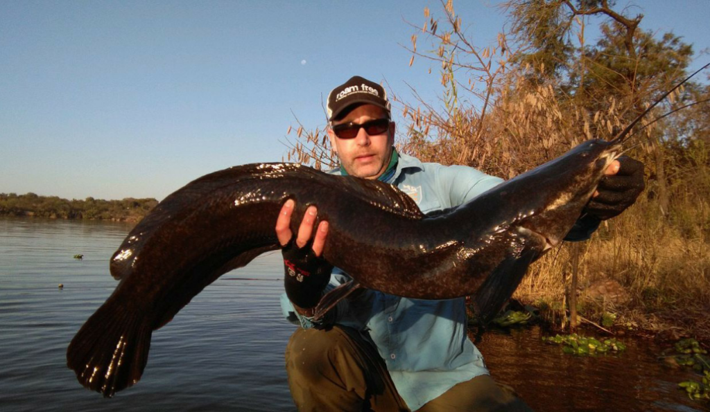 A winter catfish caught on a self-made leadhead