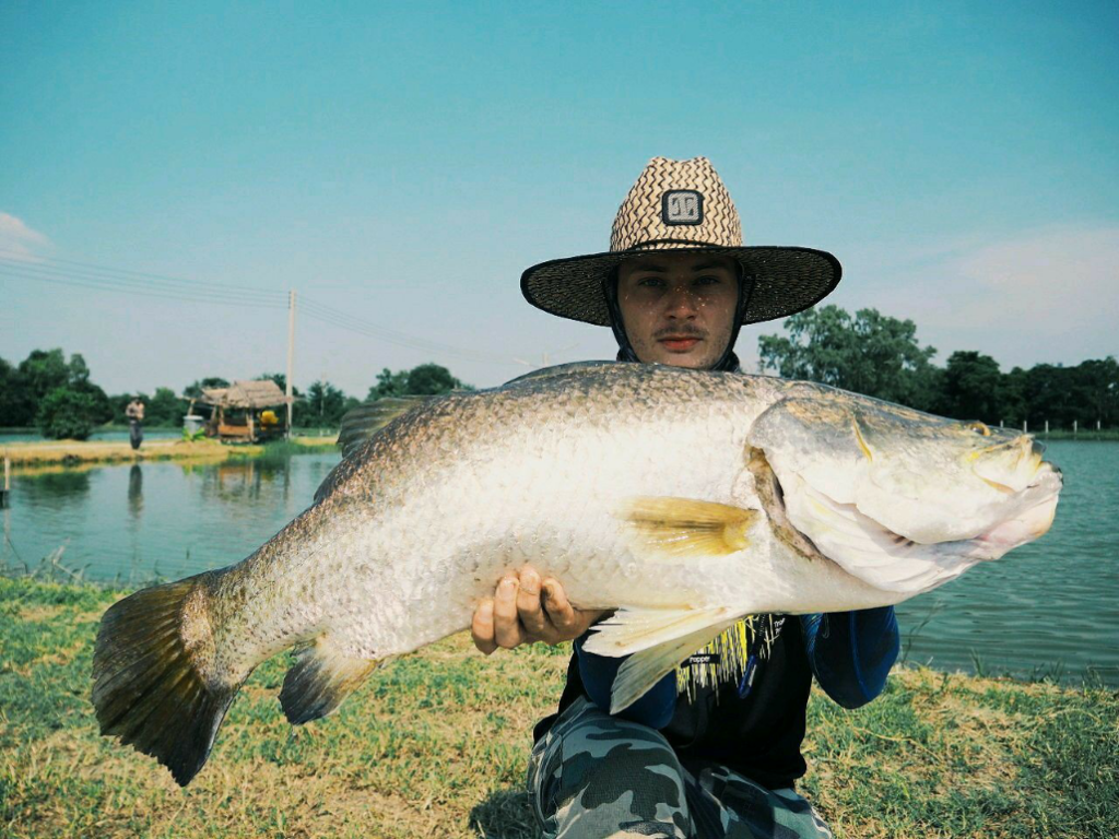 1590092676080 Barramundi