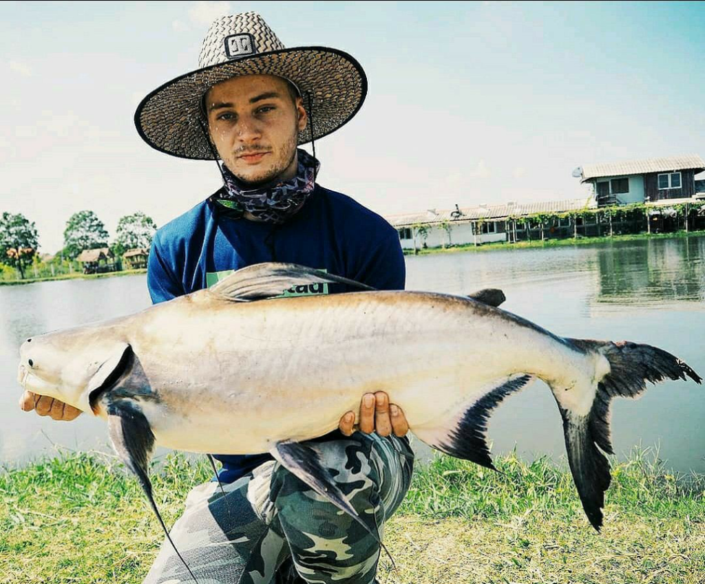 1590092773531 Chaopraya catfish