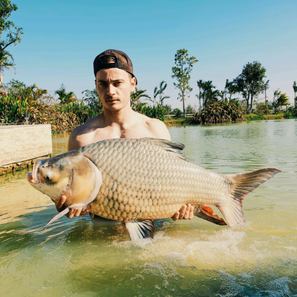 1590092866449 Siamese carp