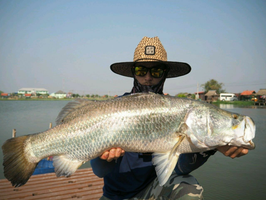 1590093292687 Barramundi