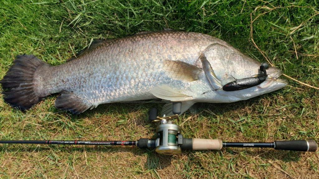 1590094410932 Big Splash from the 13cm Whopper plopper. Short dashes made for some epic top water takes!