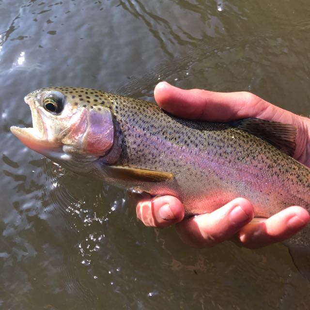 1590511459785.146 River rainbow
