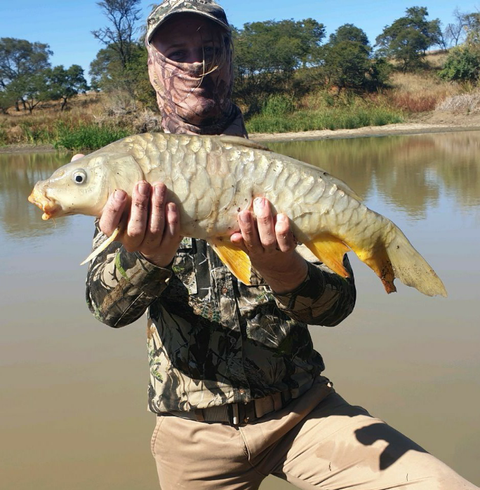 1590856081431 Nice lockdown carp