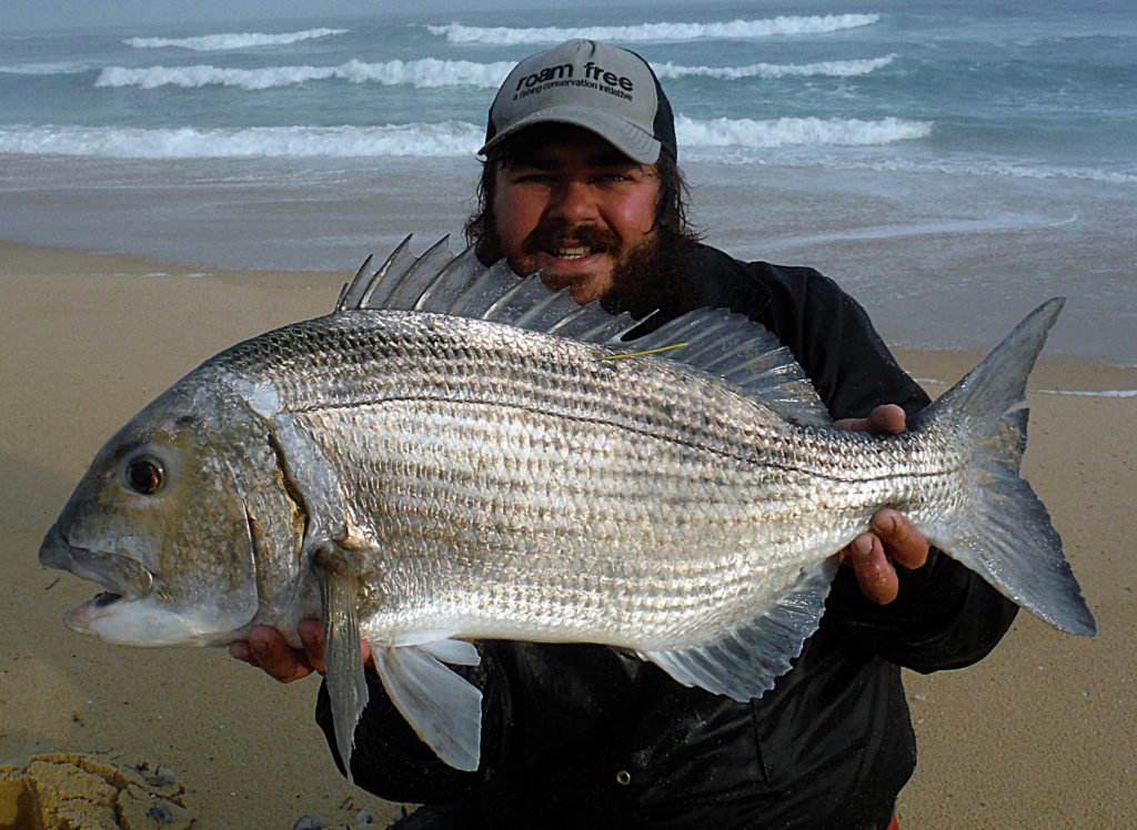I love catching these strong fighting fish. I always try my best to handle them with care and releas