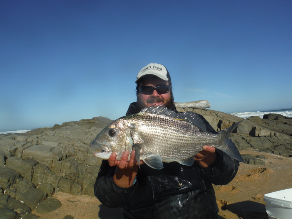 No so big but still gave a decent pull on light tackle. DSCF1351
