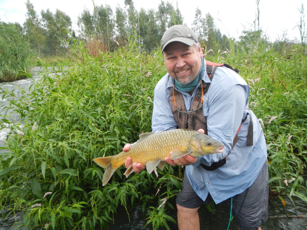 Yellowfish on flyDSCN0361